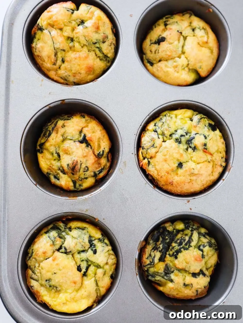 Delicious healthy lunch muffins with spinach and feta cheese! These easy savory muffins are the perfect grab and go lunch recipe! Add them to your lunch box and enjoy!