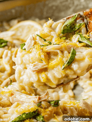 Wooden spoon of cooked orzo pasta with finished creamy lemon sauce.