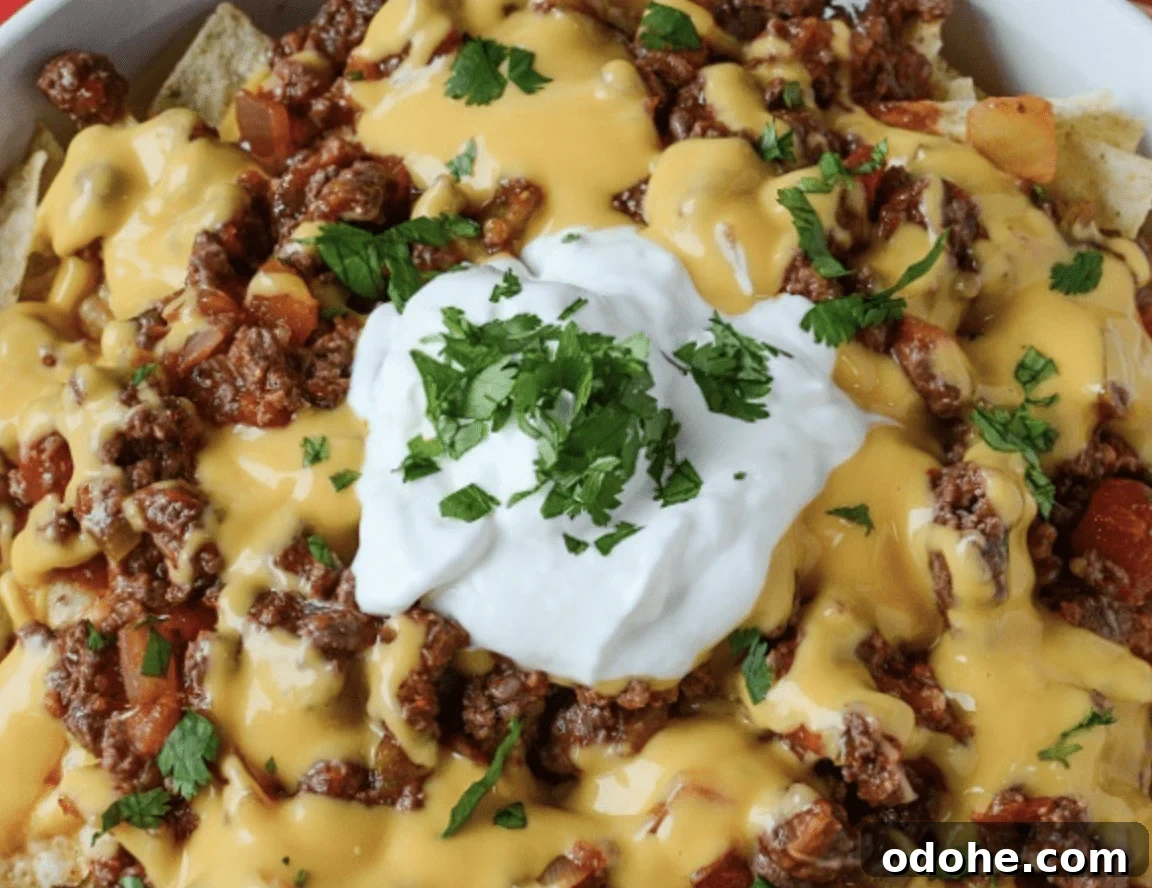 Nachos Deluxe