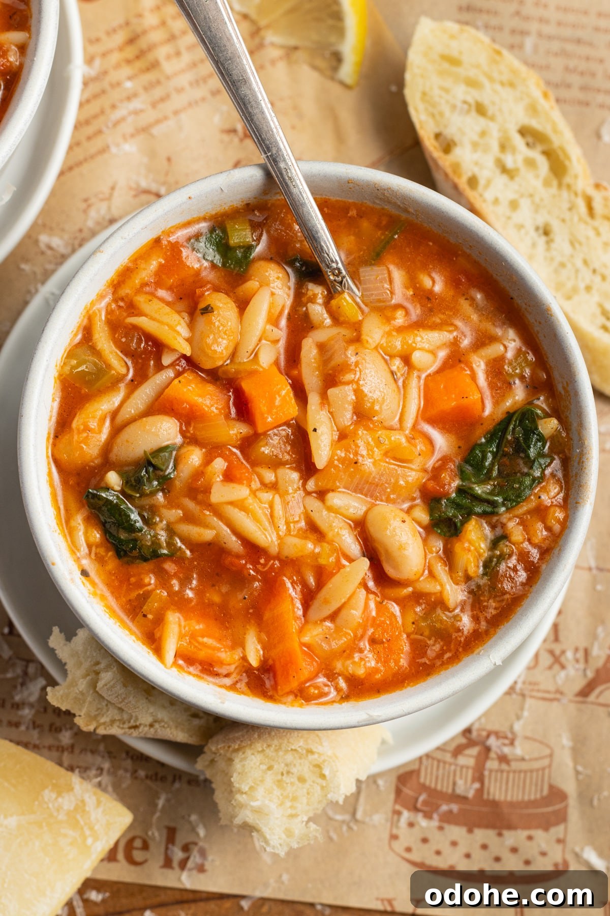 This is a picture of a bowl filled with vegetable orzo soup.