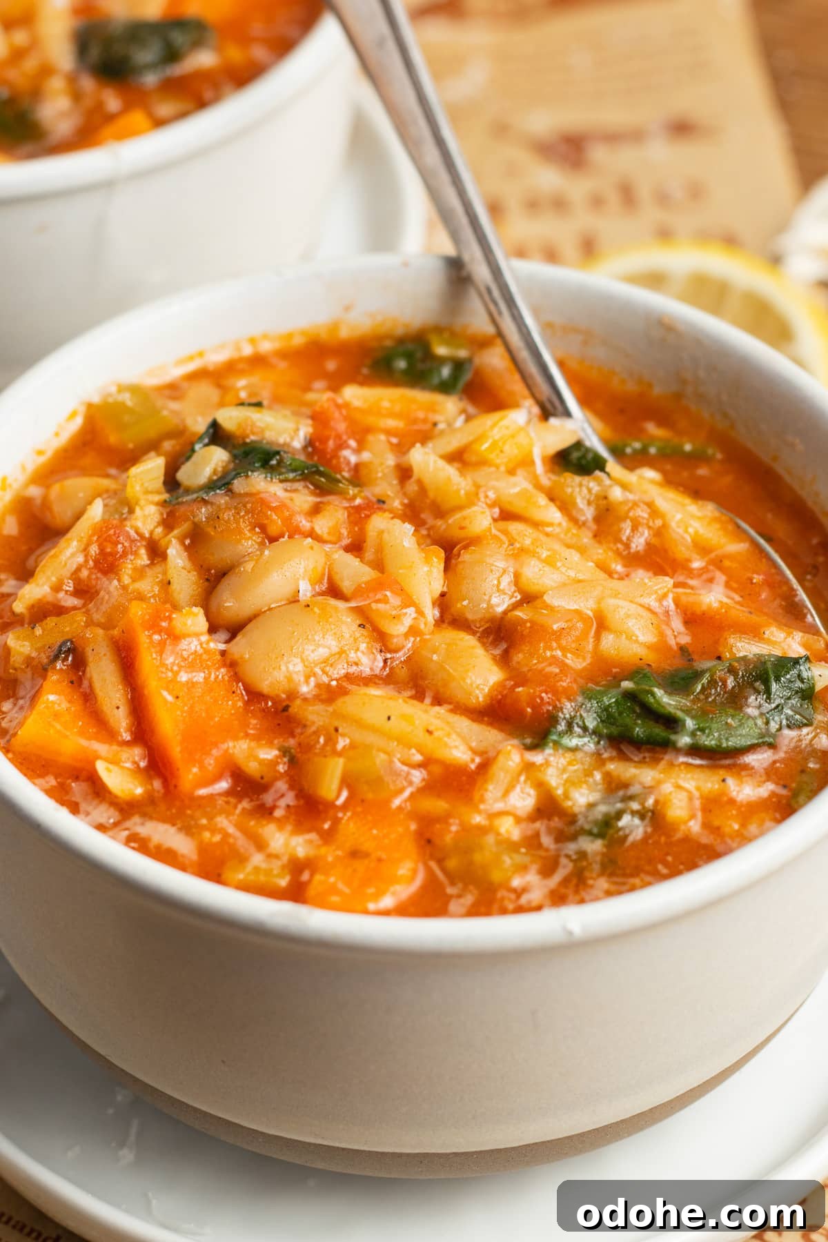 This is a picture of a bowl filled with vegetable orzo soup.
