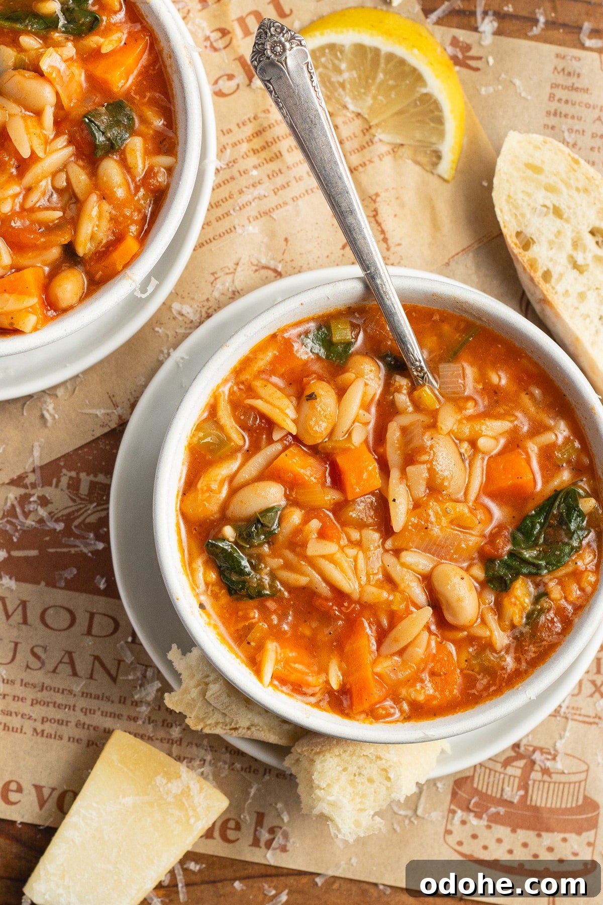 This is a picture of a bowl filled with vegetable orzo soup.