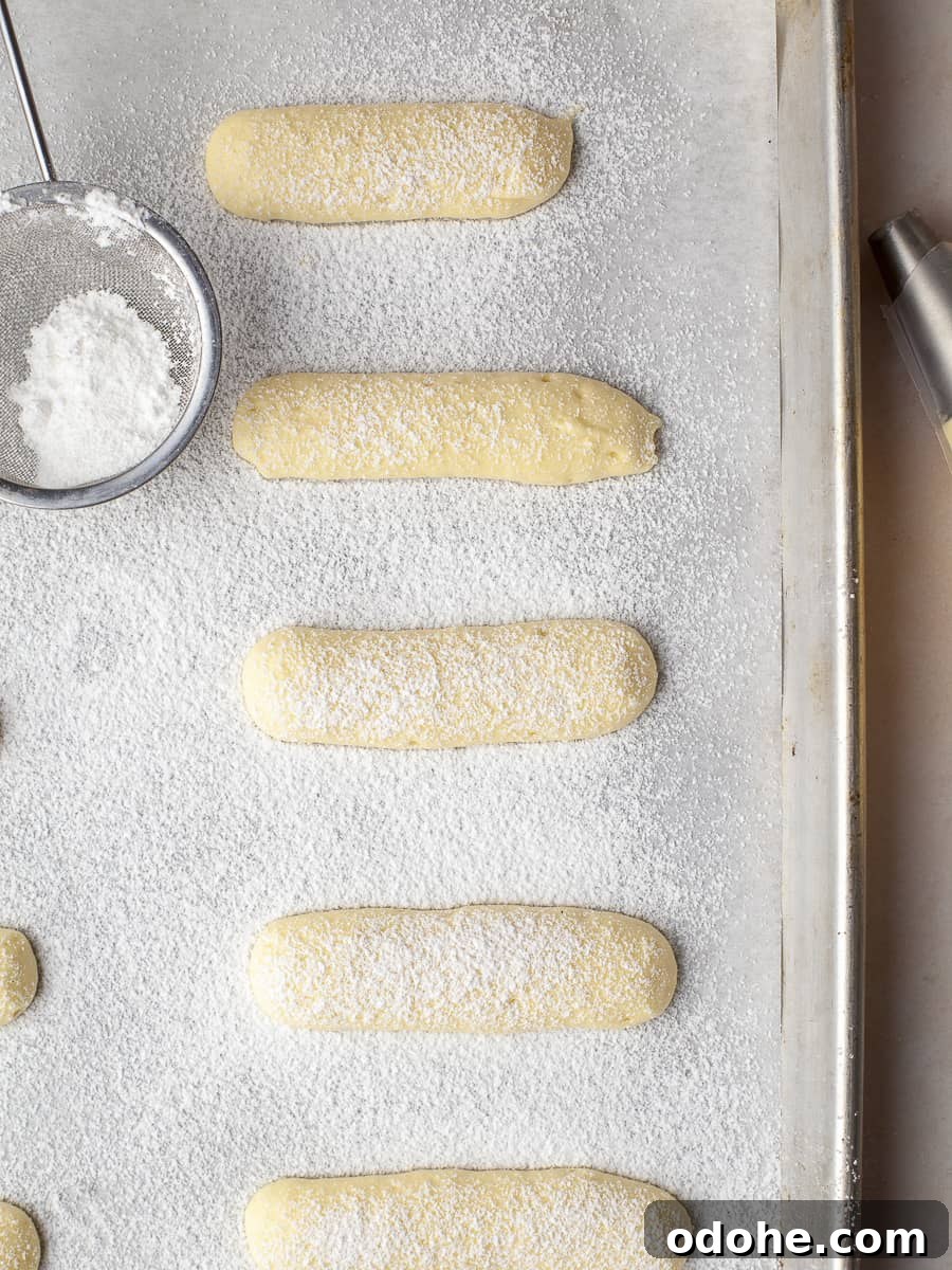 piped ladyfingers dusted with sugar