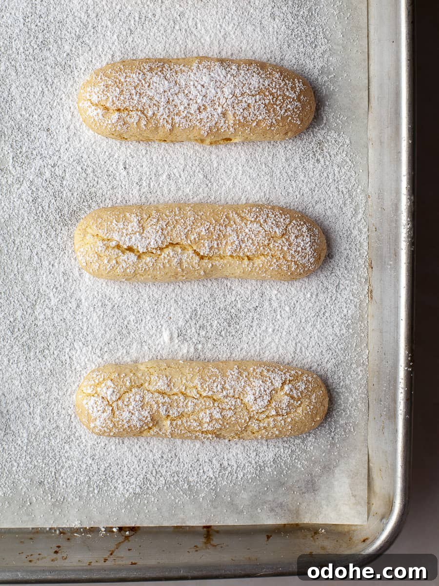 fresh baked gluten free ladyfingers