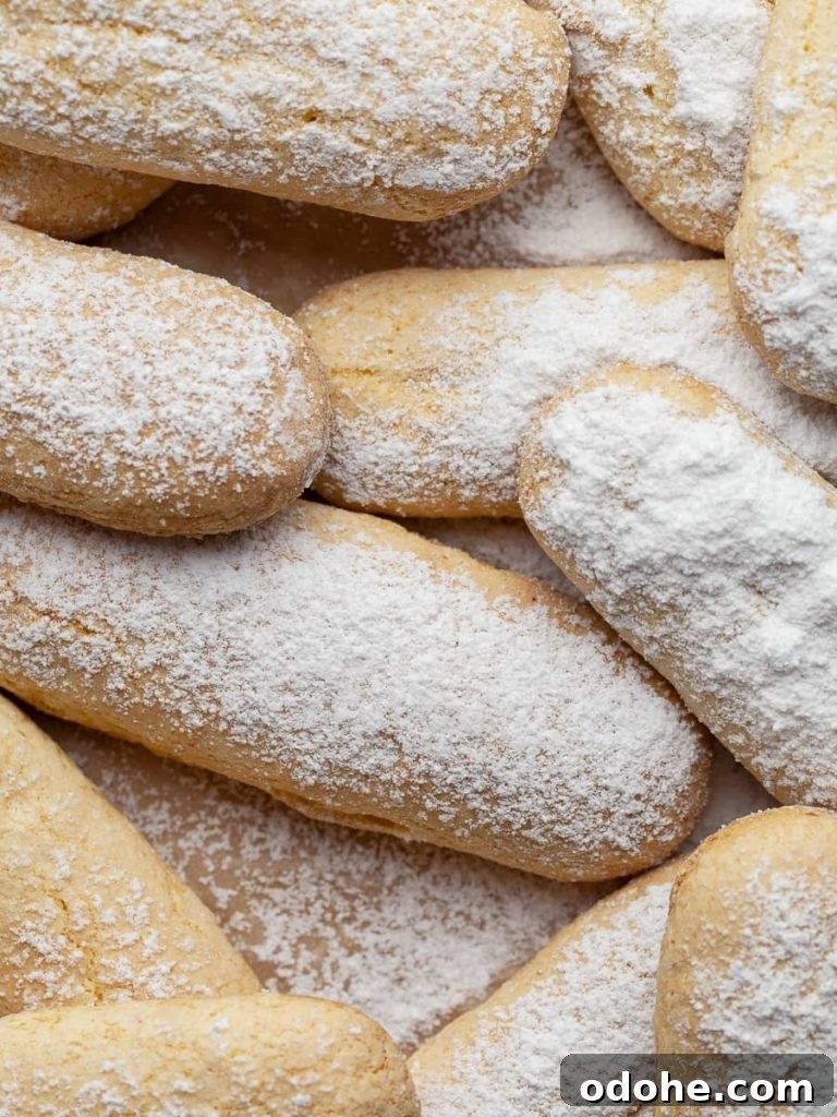 a tray of baked ladyfingers
