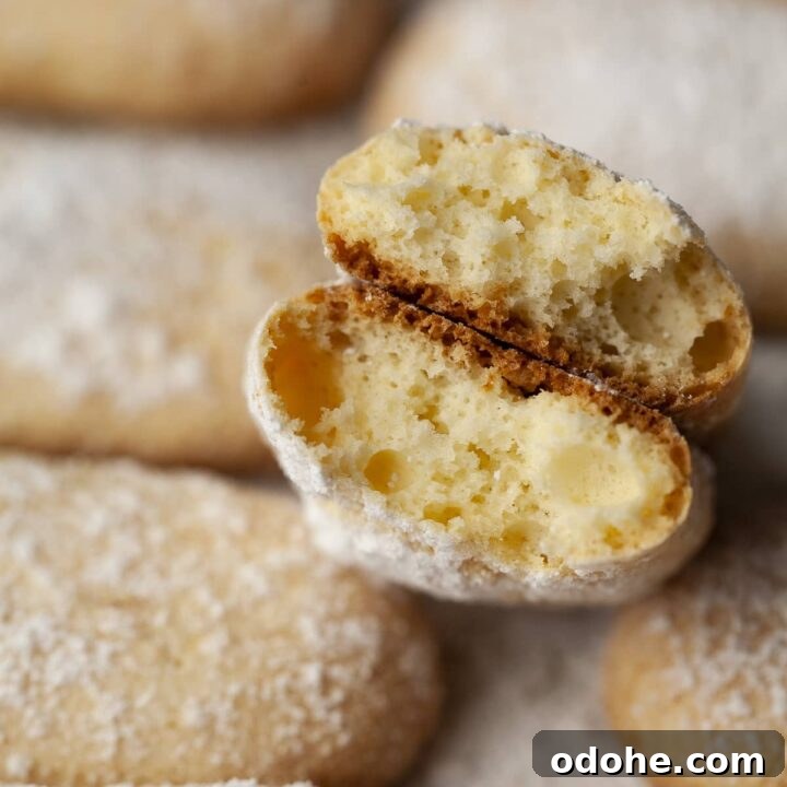 gluten free ladyfingers