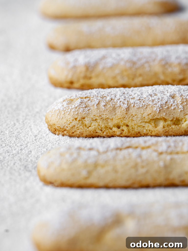 fresh baked gluten free ladyfingers