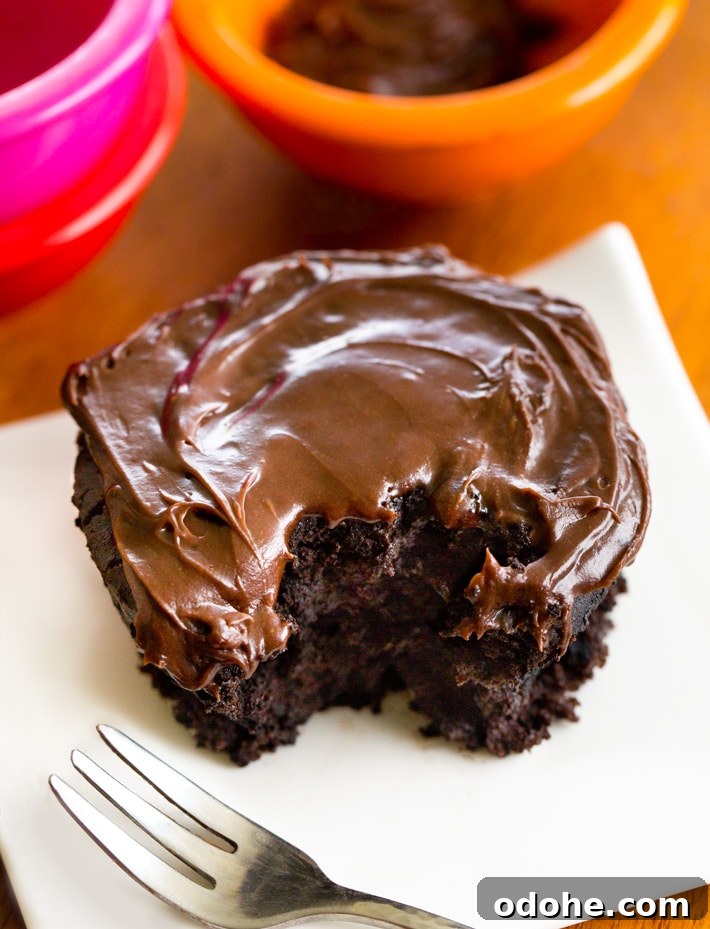 No-Bake Cookie Dough Energy Balls: Quick Sweet Snack Recipe 5 Chocolate Mug Cake