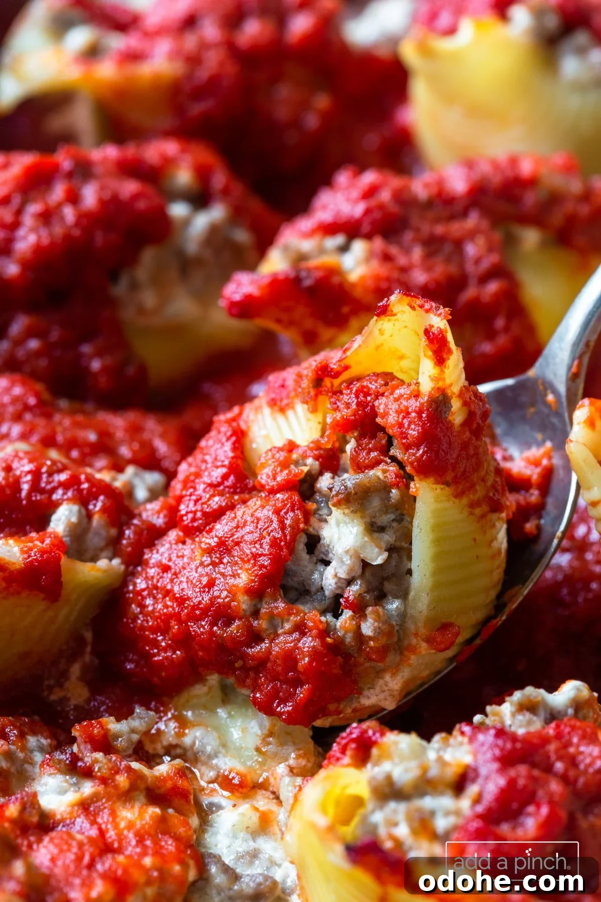 Photo of shells stuffed with beef, cheese and cooked in rich tomato sauce.
