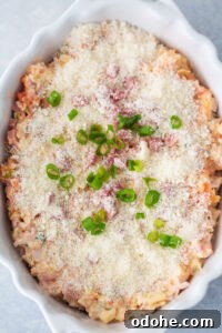 Muffuletta Dip Before Baking