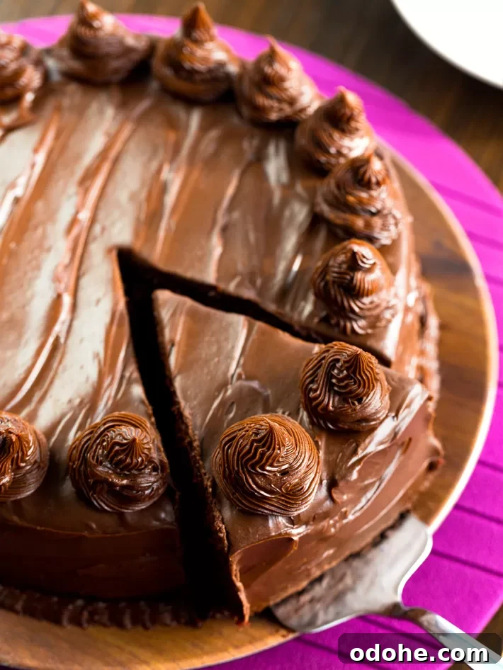 Dark Chocolate Cake Decorated With Chocolate Frosting