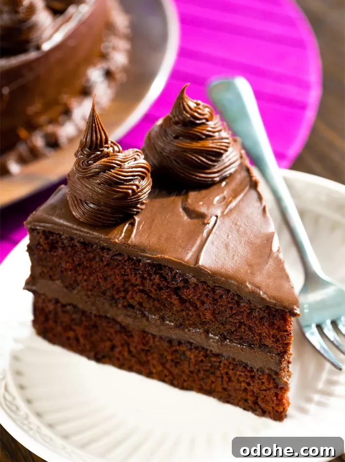 Homemade Red Wine Cake Slice