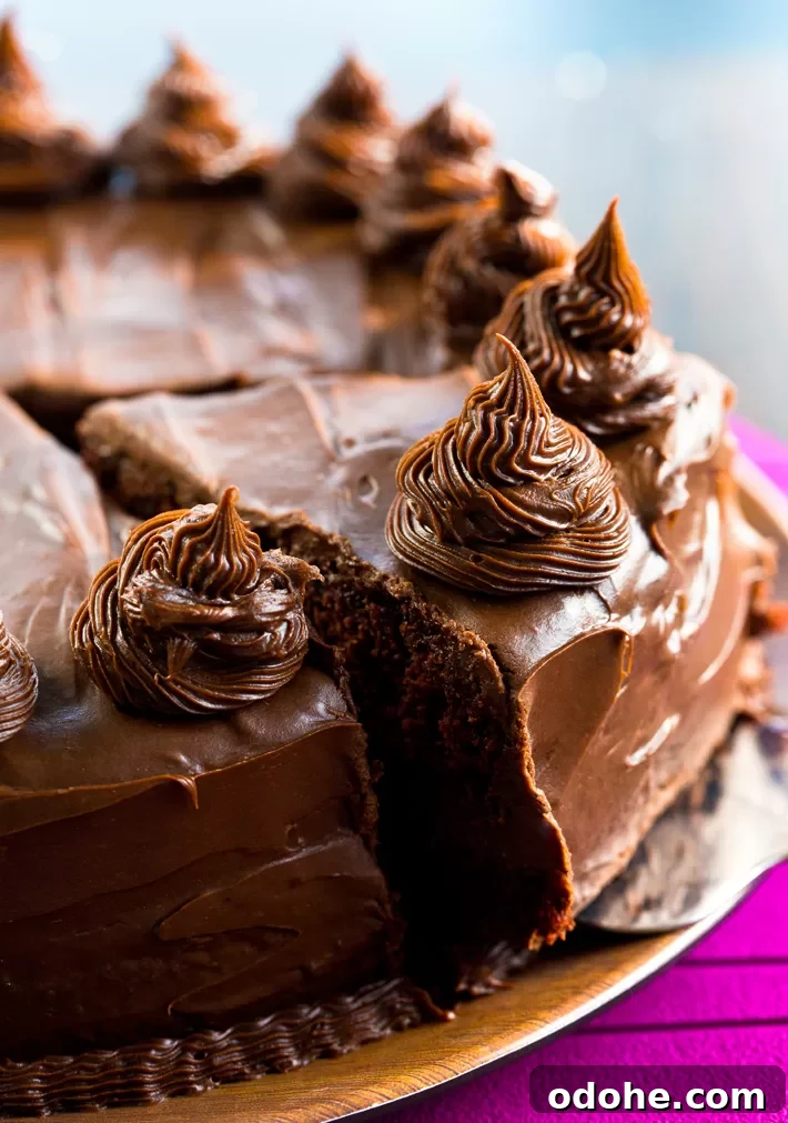 Vegan Red Wine Chocolate Cake With Ganache