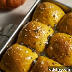 Pumpkin Sourdough Dinner Rolls Made with Discard 13 Closeup of Sourdough Discard Pumpkin Dinner Rolls in a baking pan.