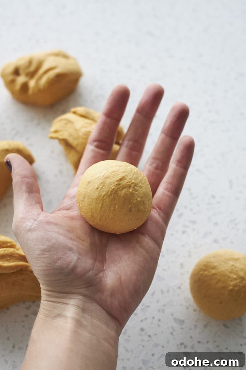Pumpkin Sourdough Dinner Rolls Made with Discard 8 Dinner rolls shaped in the palm of a hand.