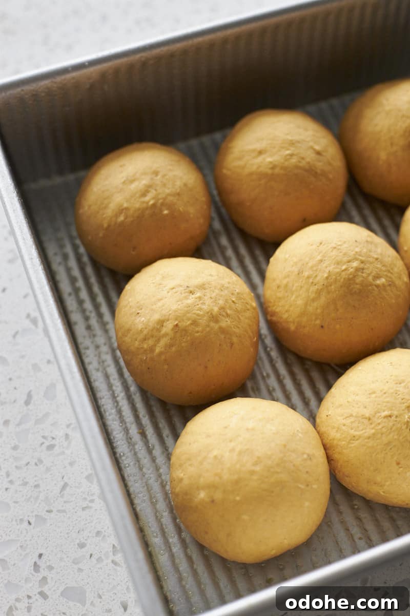 Pumpkin Sourdough Dinner Rolls Made with Discard 9 Sourdough Discard Pumpkin Dinner Rolls shaped in a baking pan.