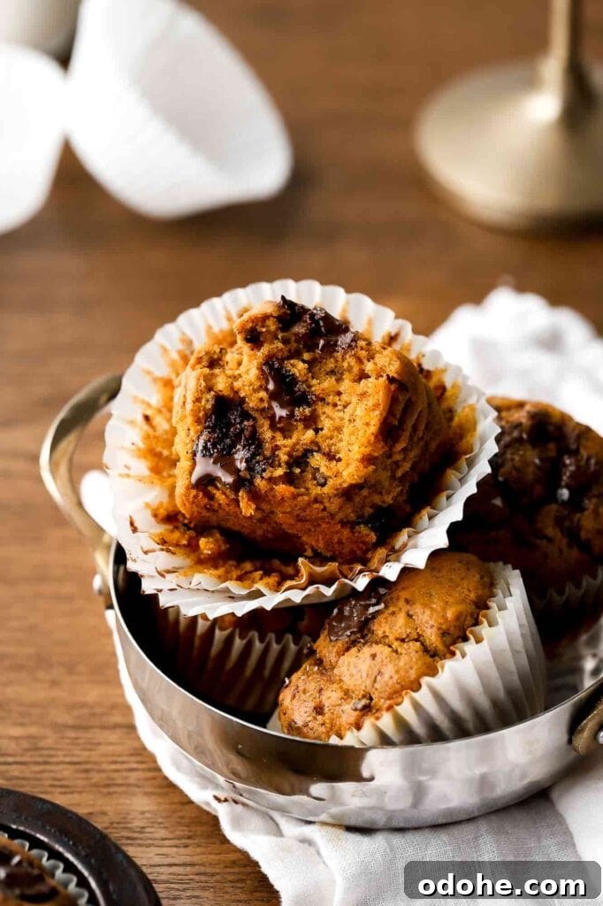 bite taken out of a pumpkin muffin with melted chocolate chunks
