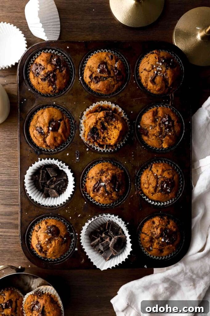 baked pumpkin chocolate chip muffins