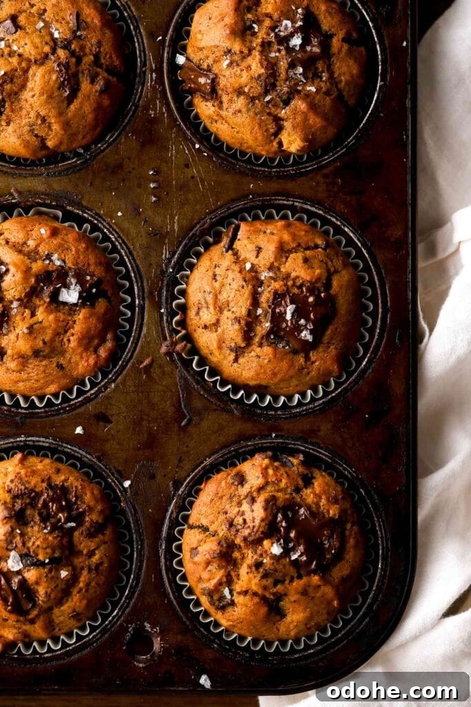 pumpkin chocolate chip muffins