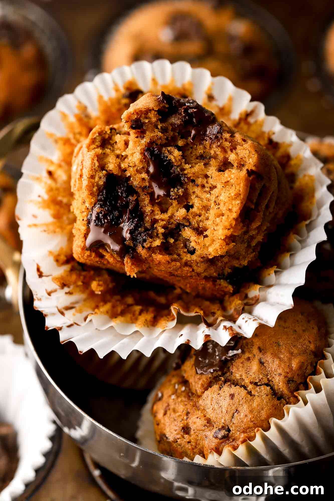 pumpkin chocolate chip muffins