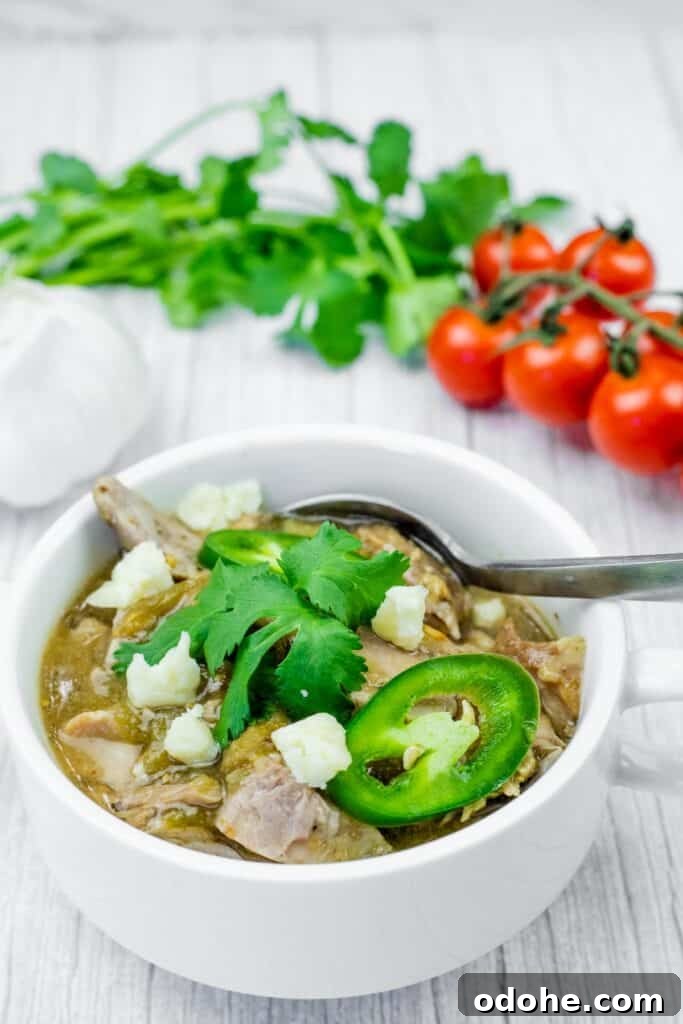 Slow Cooker Pork Chile Verde Recipe for Tender, Flavorful Pork 2 A white bowl filled with green pork chili, topped with cheese, jalapenos, and cilantro, with a spoon inside. Garlic, cilantro, and tomatoes are in the background.