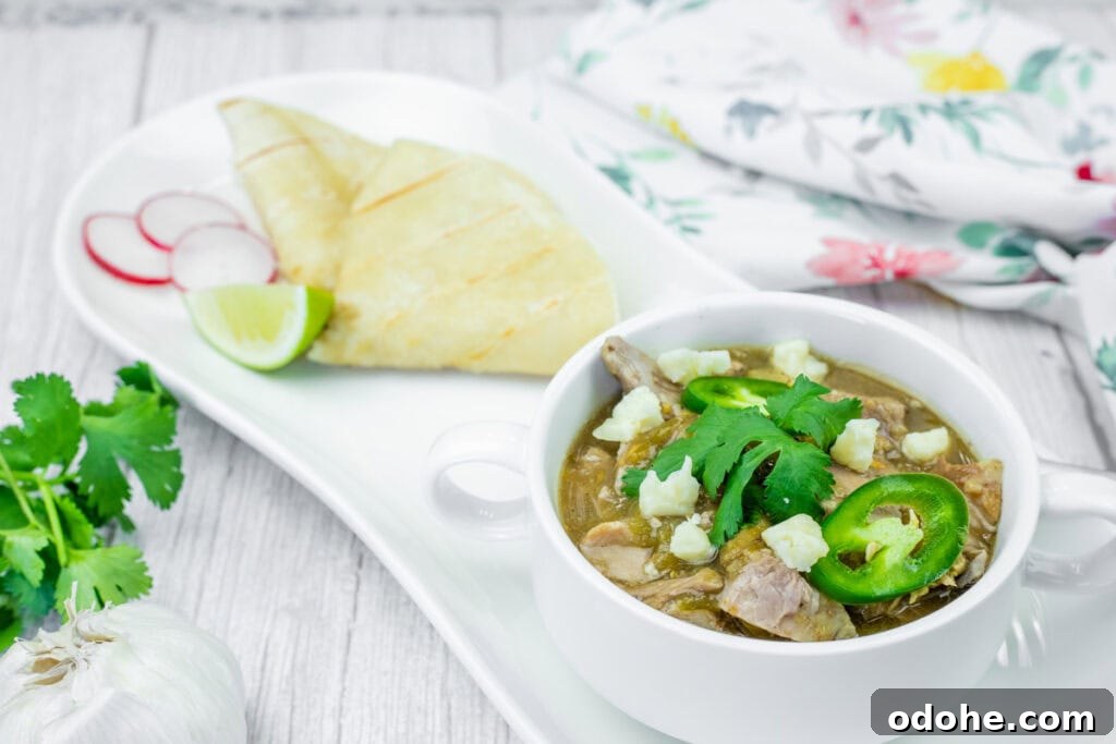 Slow Cooker Pork Chile Verde Recipe for Tender, Flavorful Pork 3 A white bowl of Slow Cooker Pork Chile Verde, featuring visible chunks of meat, white cheese crumbles, sliced jalapenos, and cilantro, sits on a white plate. Sliced radishes, a lime wedge, and folded tortillas are also on the plate. A head of garlic and cilantro sprigs are in the blurred background, along with a floral patterned cloth.