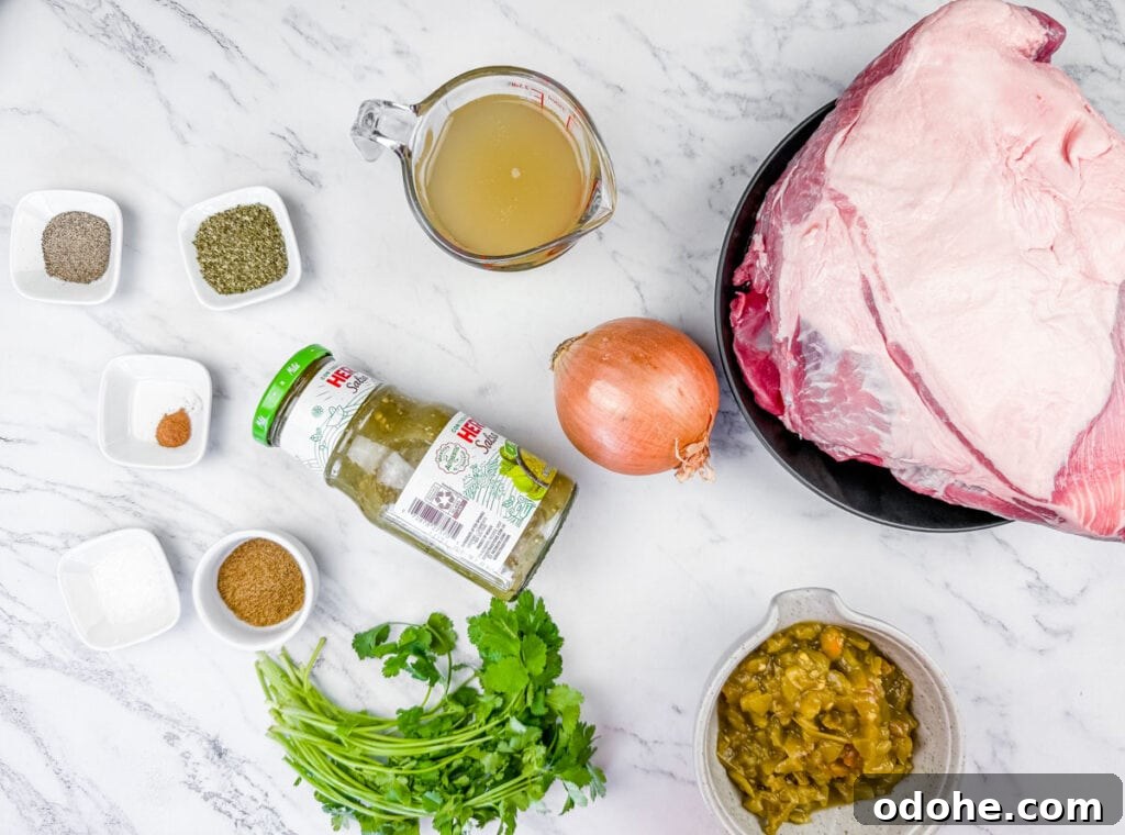 Slow Cooker Pork Chile Verde Recipe for Tender, Flavorful Pork 5 Overhead shot of various ingredients laid out on a white marble surface, including a large piece of raw pork on a black plate, a jar of green salsa, a yellow onion, a measuring cup of broth, small bowls of spices, and fresh cilantro.
