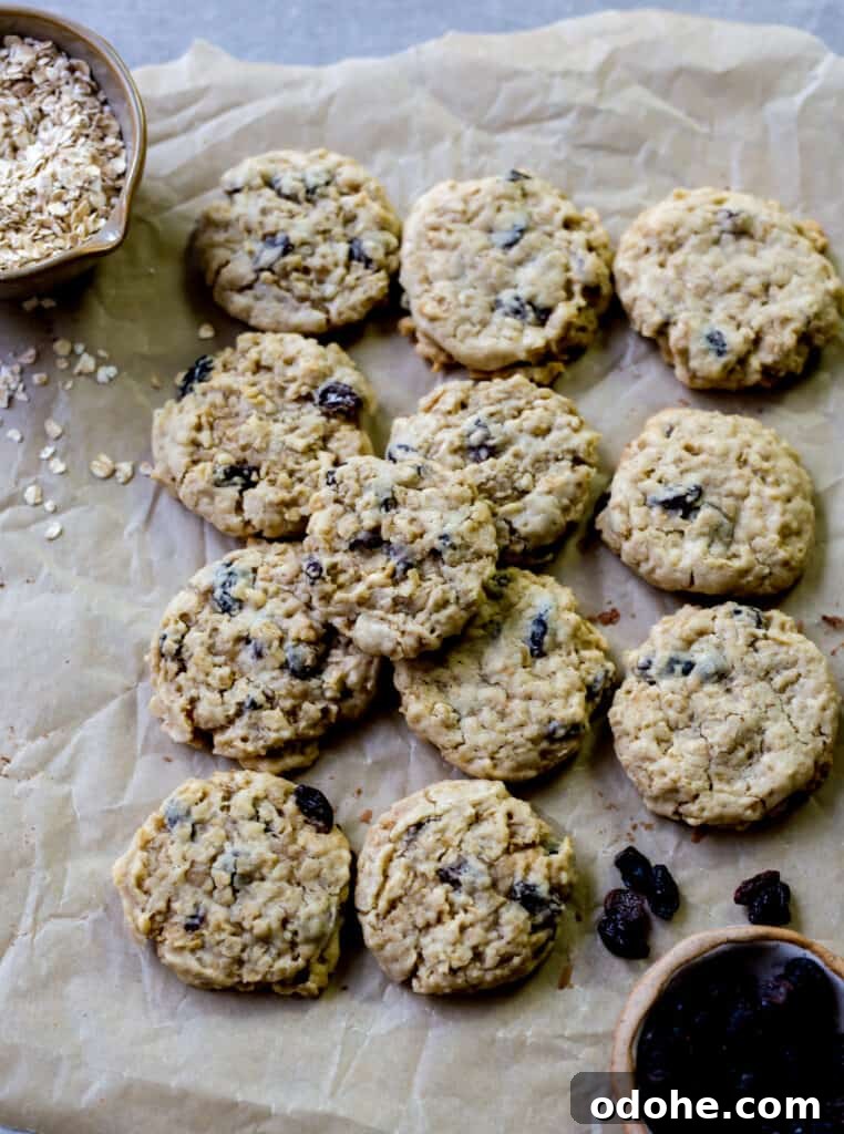 Classic Old-Fashioned Oatmeal Cookies Recipe 2 classic oatmeal cookies