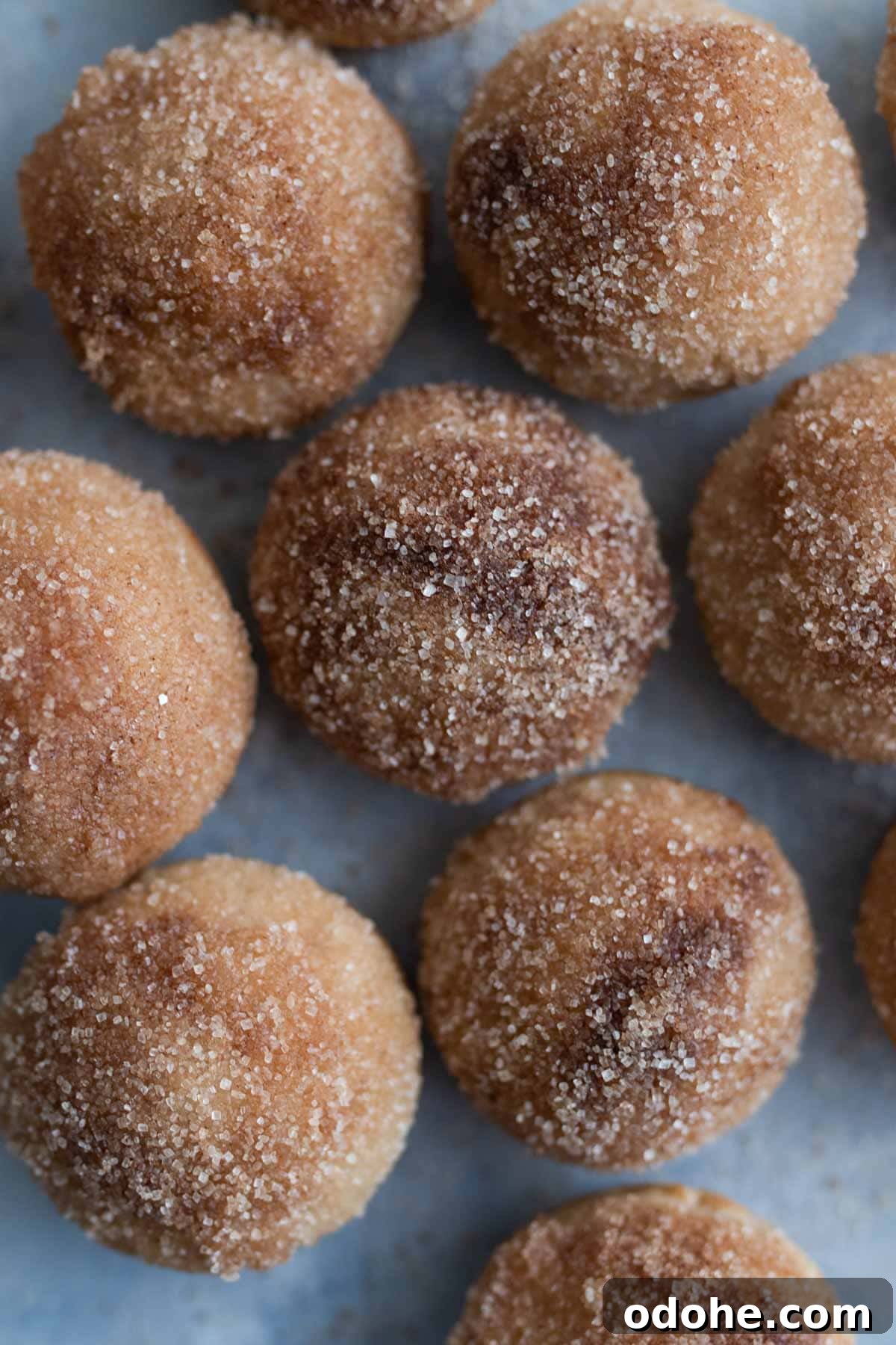 Apple cider donut holes on a tray.