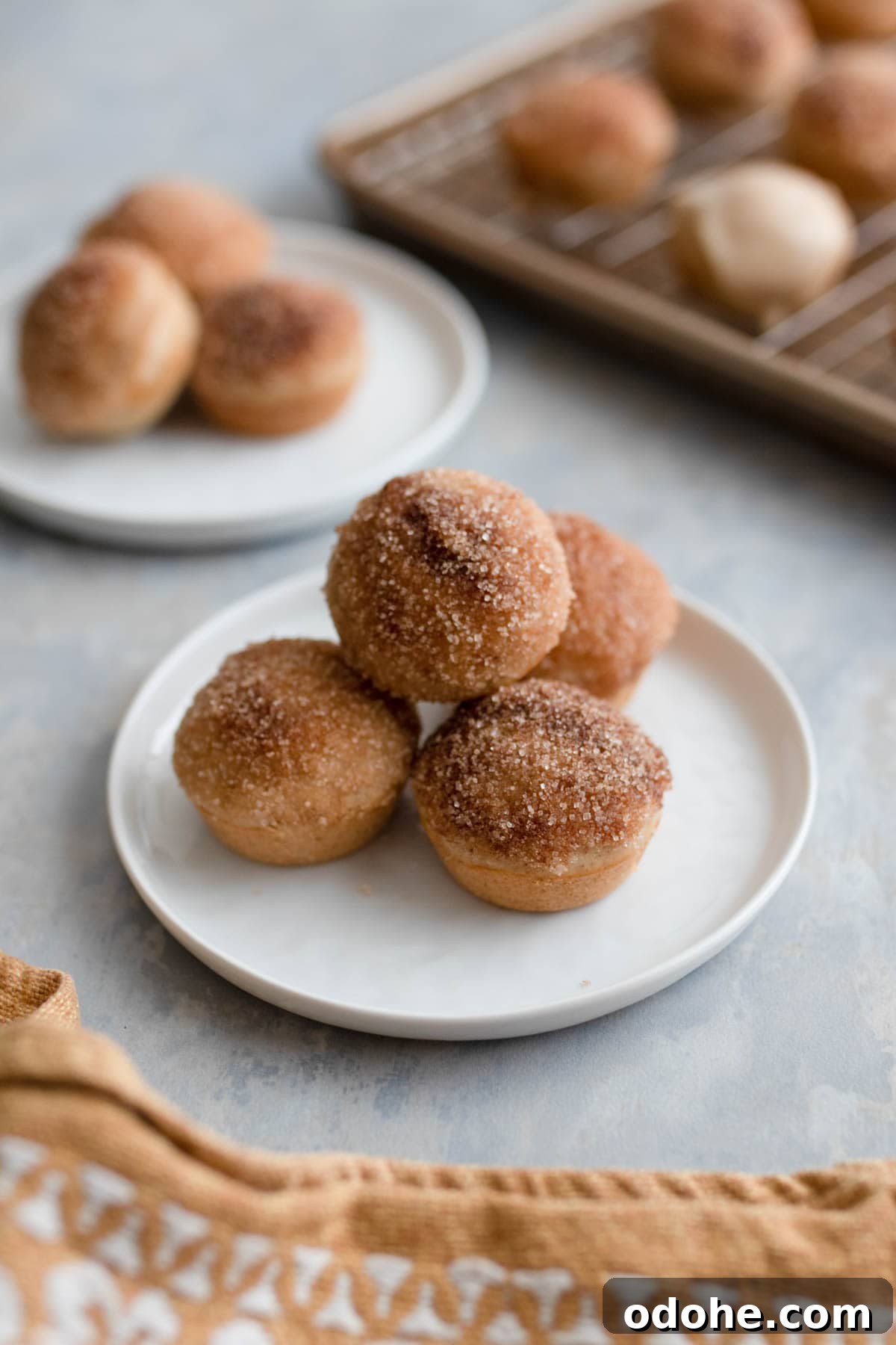Cinnamon sugar donut holes on a plate.