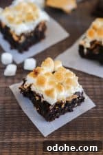 Gluten-Free Chocolate Peanut Butter Brownies