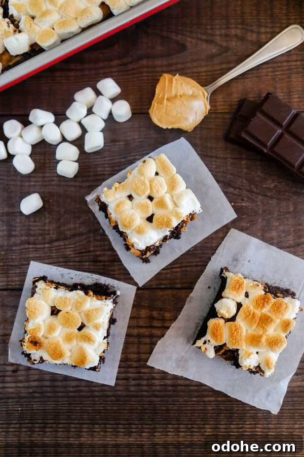 Gluten-Free Chocolate Peanut Butter Brownies