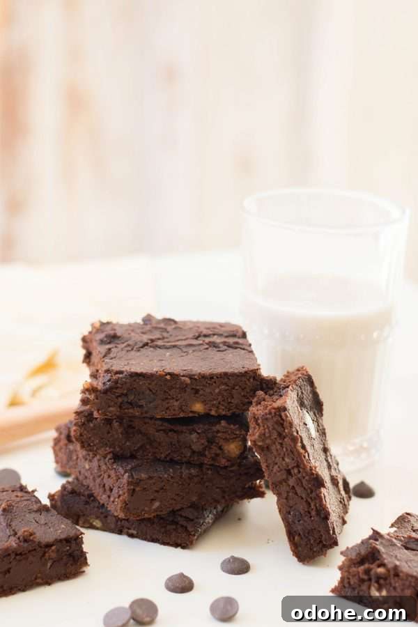 Chickpea Brownies