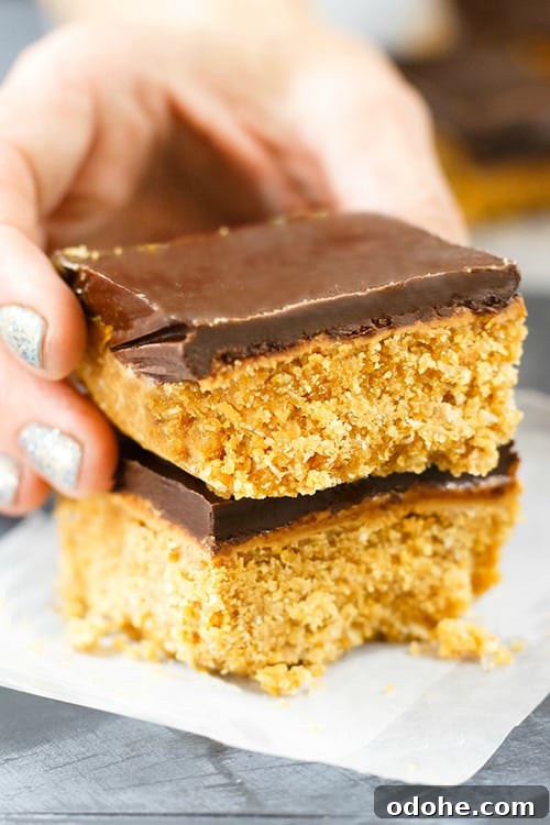 Clean Eating No Bake Peanut Butter Bars Recipe