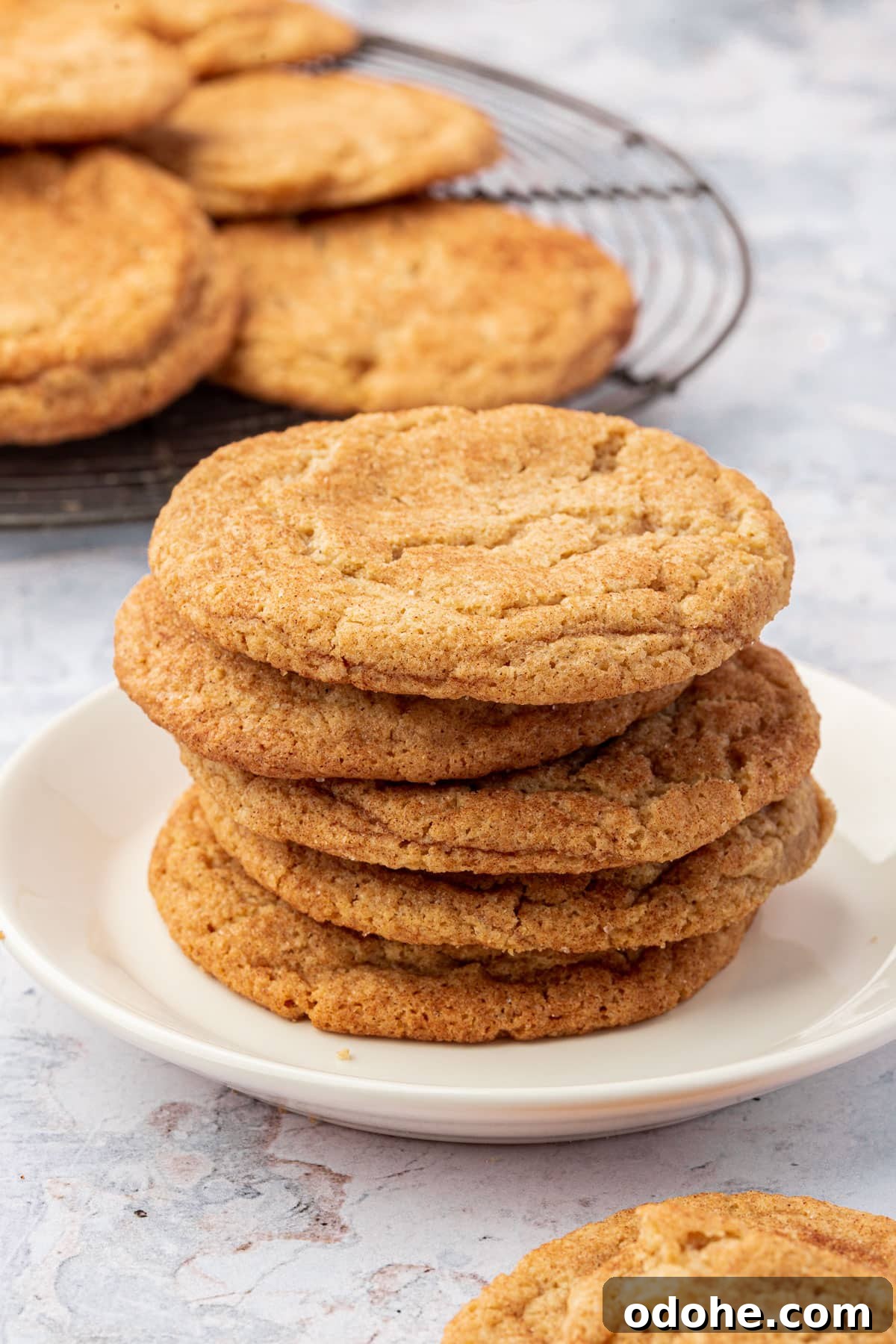 Gluten-Free Snickerdoodle Cookies Recipe: Soft, Cinnamon-Sugar Treats 14 A stack of gluten-free snickerdoodle cookies on a small dessert plate.