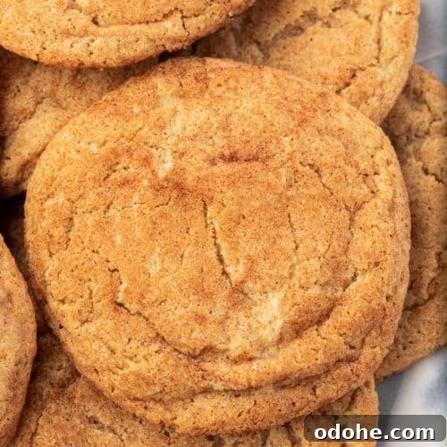Gluten-Free Snickerdoodle Cookies Recipe: Soft, Cinnamon-Sugar Treats 15 A closeup of a plate of gluten-free snickerdoodles on it.