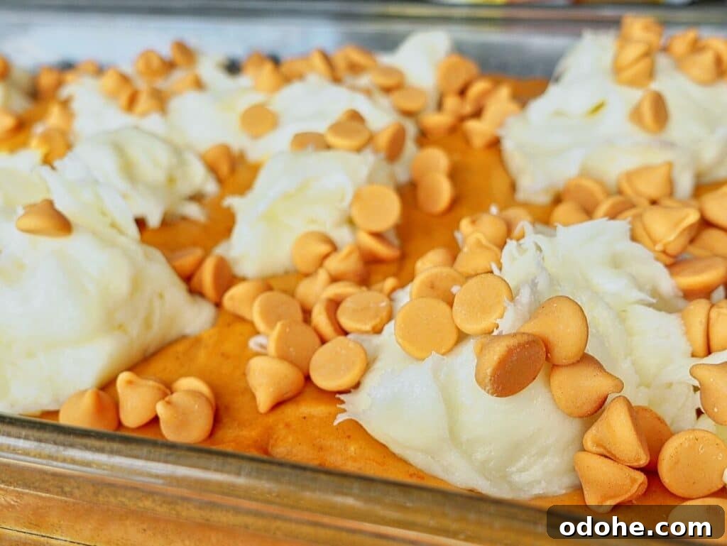 dollops of cream cheese mixture and butterscotch chips on top of cake batter in pan.