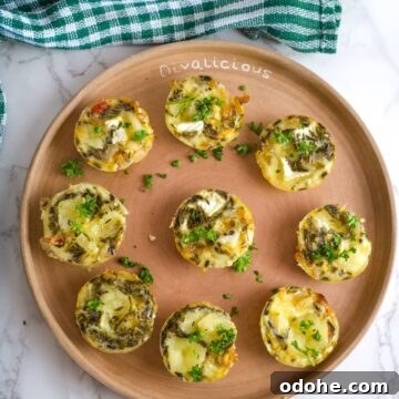 Brie and Caramelized Onion Mini Crustless Quiches: Savory Bites for Brunch 9 brie mini quiche