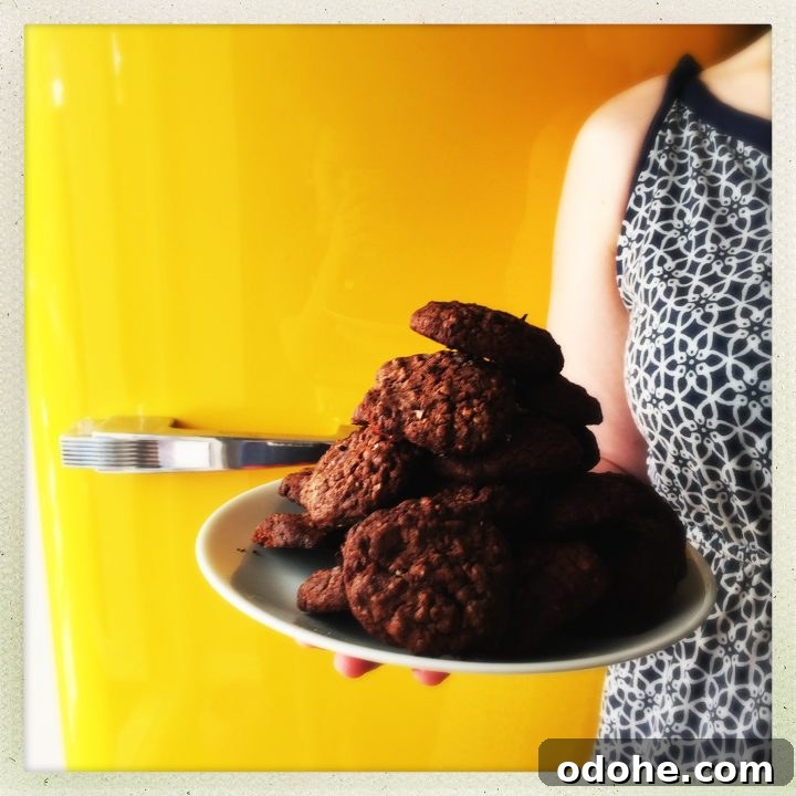 double chocolate oat cookies, breakfast cookies, easy family food