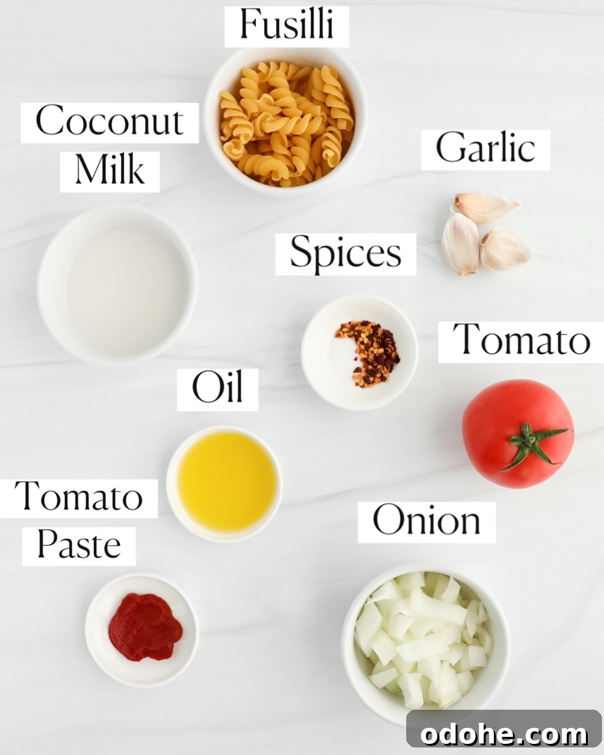 Labeled ingredients including: fusilli, coconut milk, garlic, spices, tomato, oil, tomato paste, and onion.