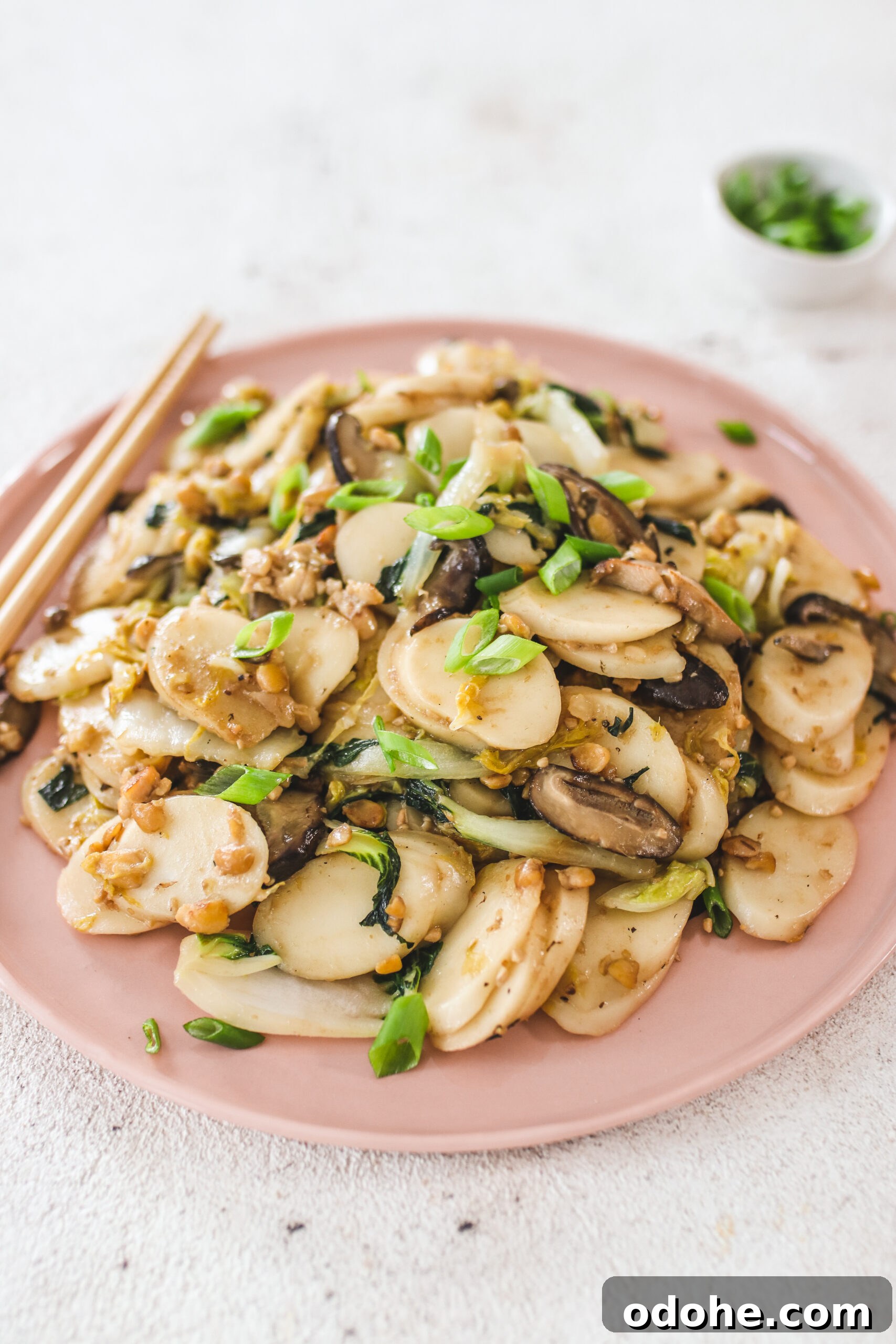 22 Vegan Lunar New Year Recipes to Celebrate the New Year 4 Stir Fried Rice Cakes Veggiekins Blog