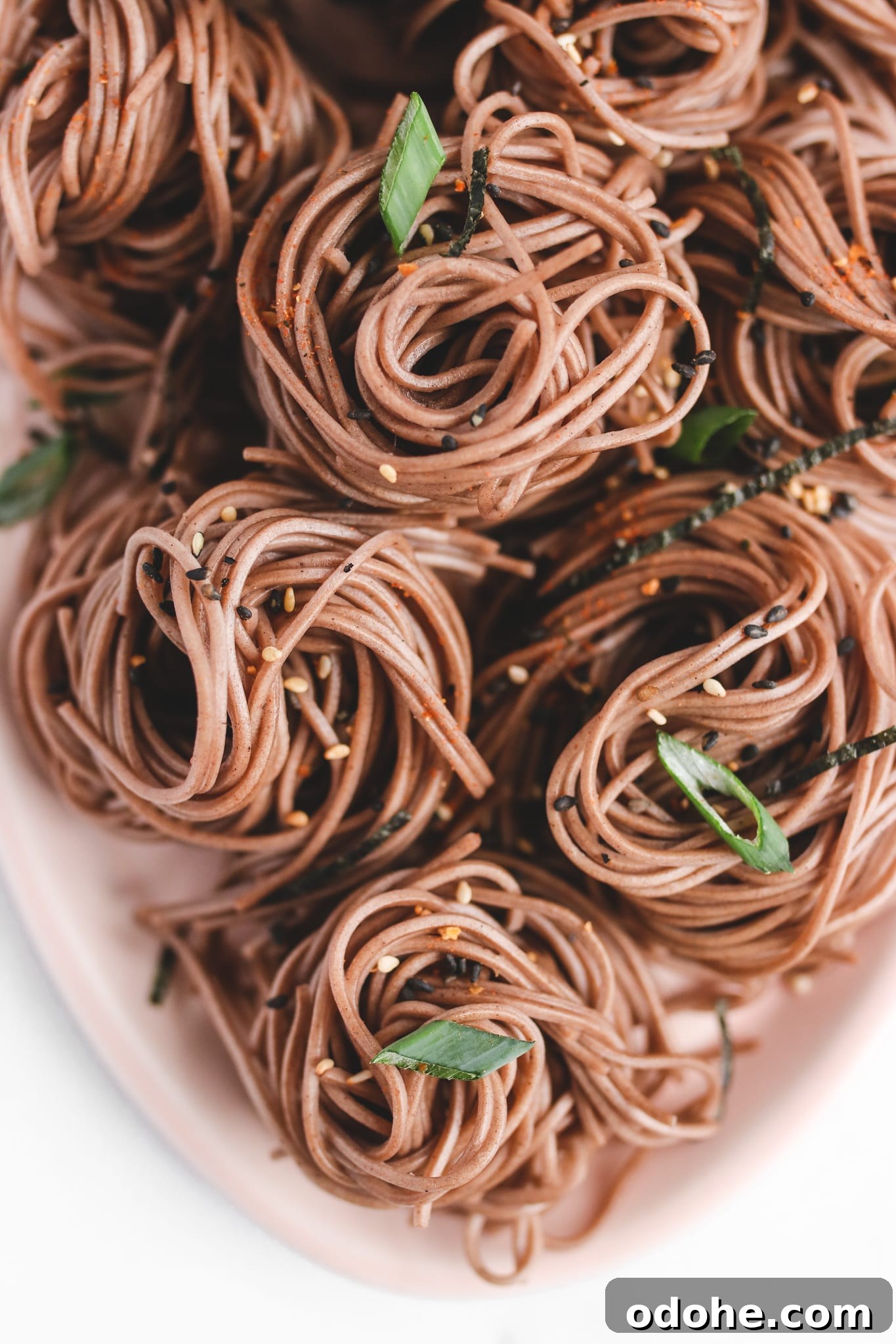 22 Vegan Lunar New Year Recipes to Celebrate the New Year 7 Vegan Zaru Soba Veggiekins