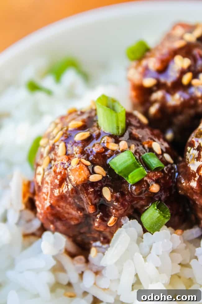 Close up of meatball on rice with sesame seeds