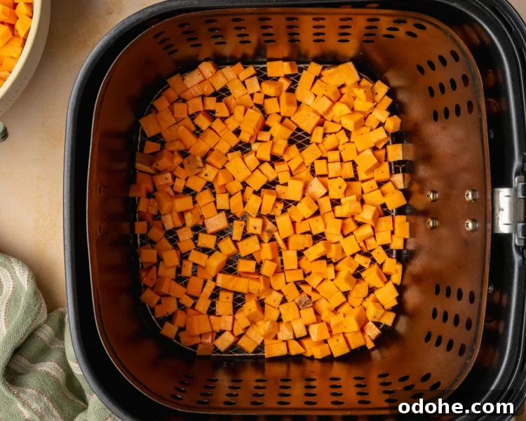 Cubes sweet potatoes in the bottom on an air fryer.