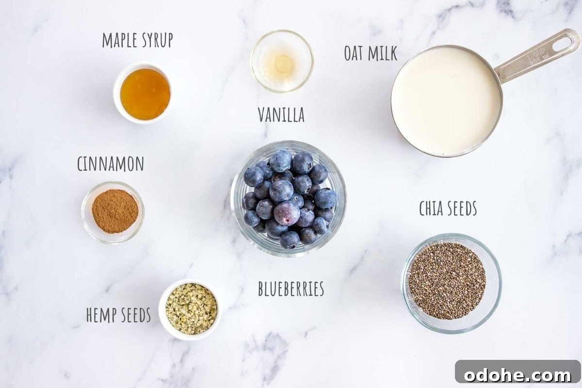 Blueberry Chia Pudding recipe ingredients