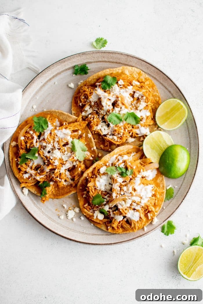40+ Authentic Mexican Recipes for an Unforgettable Cinco de Mayo 2 Three chicken tinga tacos on a round serving plate.