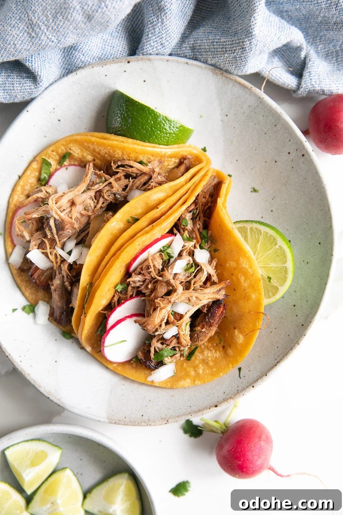 40+ Authentic Mexican Recipes for an Unforgettable Cinco de Mayo 14 Two pork carnitas tacos served on warm corn tortillas, topped with fresh cilantro, diced onions, sliced radish, and a squeeze of lime, presented on a shallow serving plate.