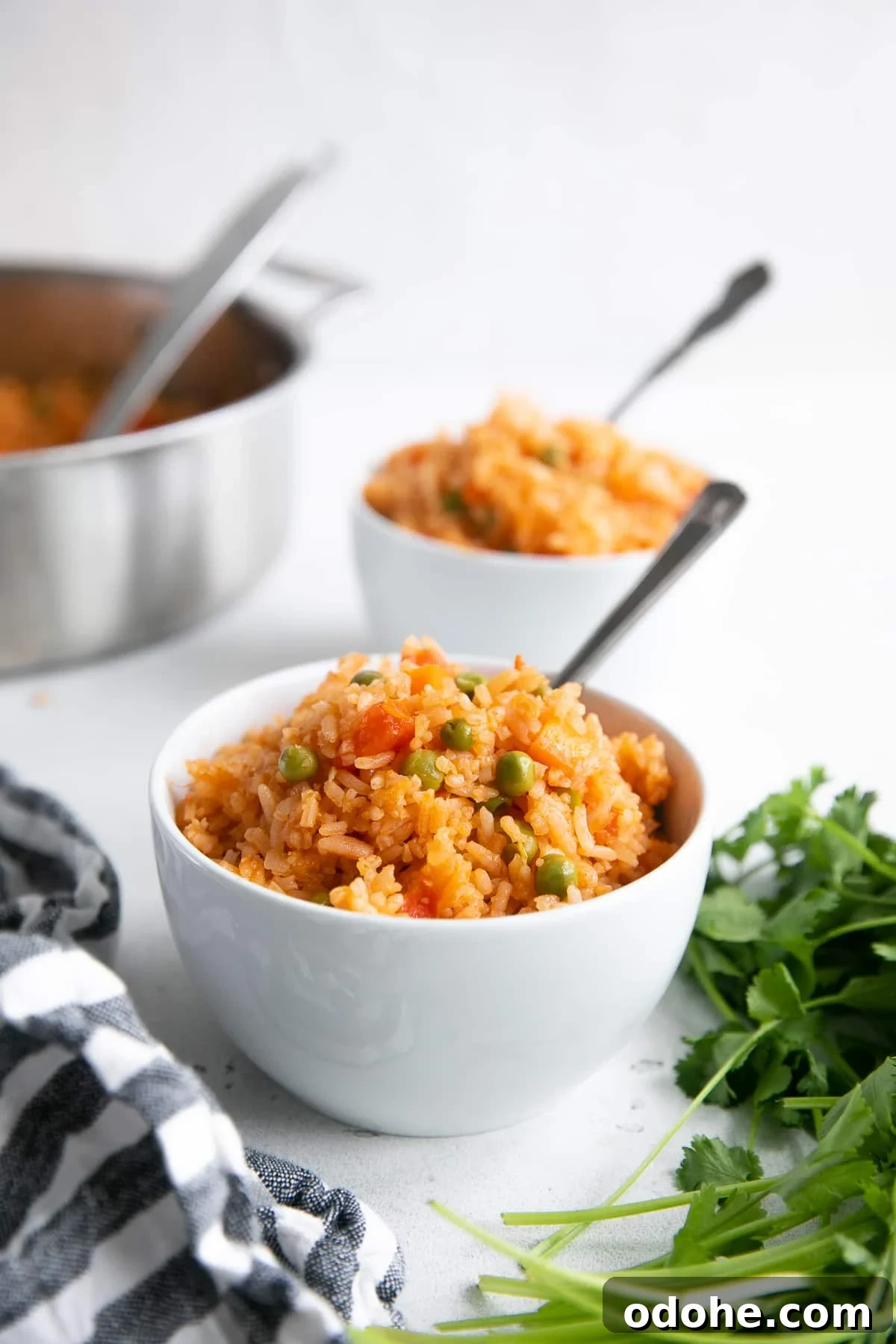 40+ Authentic Mexican Recipes for an Unforgettable Cinco de Mayo 26 img 96110 25