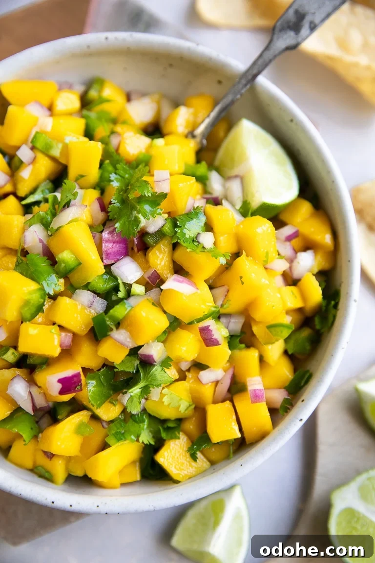 40+ Authentic Mexican Recipes for an Unforgettable Cinco de Mayo 4 Overhead image of a large white bowl filled with mango salsa made with mango, red onion, cilantro, and lime juice.