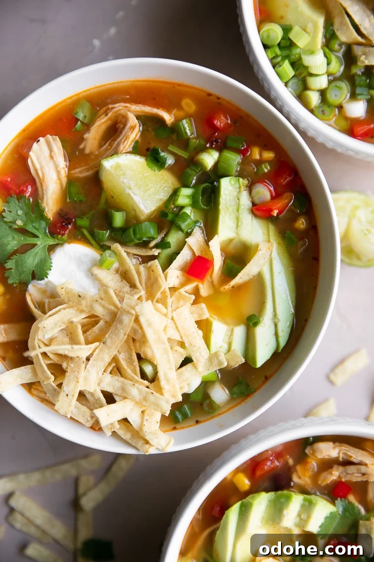 40+ Authentic Mexican Recipes for an Unforgettable Cinco de Mayo 35 A bowl of food on a plate, with Chicken Tortilla Soup
